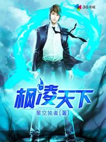 凌枫天尊