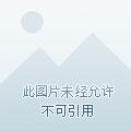 绝世唐门之终极冰神
